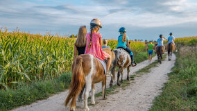 Spacery i jazda konna w terenie - zdjęcie 11