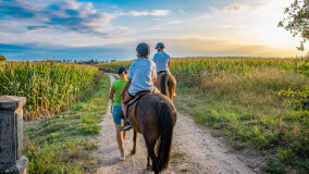 Spacery i jazda konna w terenie - zdjęcie 10