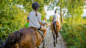 Spacery i jazda konna w terenie - zdjęcie 6