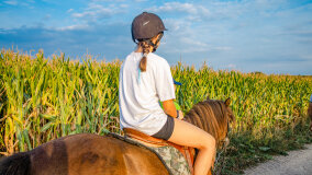 Spacery i jazda konna w terenie - zdjęcie 4