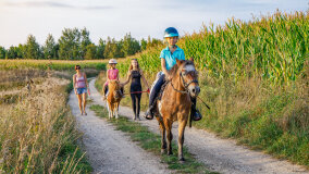 Spacery i jazda konna w terenie - zdjęcie 2