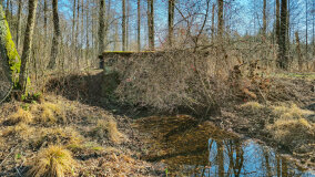 Krzyżacki Mostek - zdjęcie 3