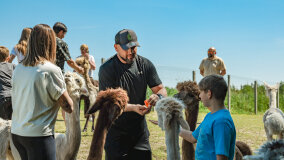 Alpakadabra - zdjęcie 54