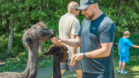 Alpakadabra - zdjęcie 42