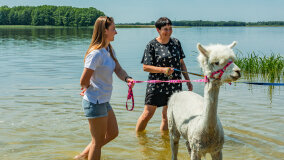 Alpakadabra - zdjęcie 33