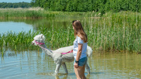 Alpakadabra - zdjęcie 32