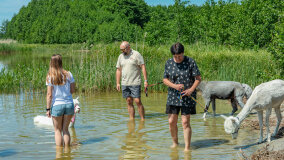 Alpakadabra - zdjęcie 23