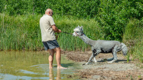 Alpakadabra - zdjęcie 15