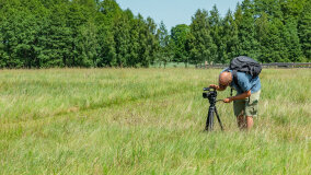 Alpakadabra - zdjęcie 8