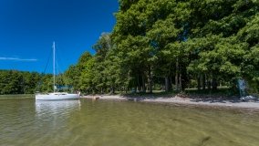 Sun Bila Pieczarki - zdjęcie 26