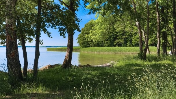 Nowy Harsz - zdjęcie 20