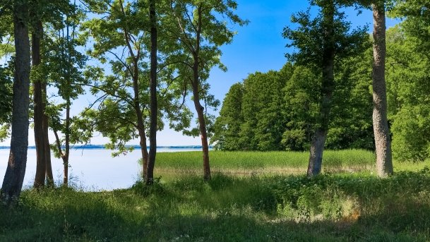 Nowy Harsz - zdjęcie 19