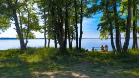 Sun Bila Pieczarki - zdjęcie 18