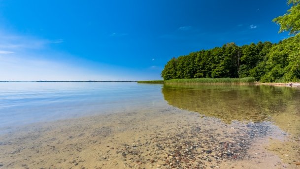 Nowy Harsz - zdjęcie 15