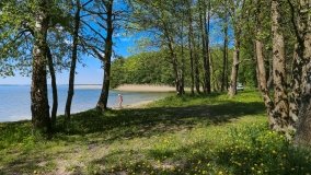 Sun Bila Pieczarki - zdjęcie 14