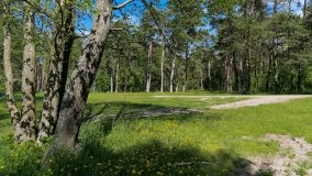 Sun Bila Pieczarki - zdjęcie 13