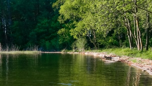 Nowy Harsz - zdjęcie 9