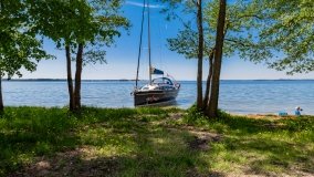 Sun Bila Pieczarki - zdjęcie 7