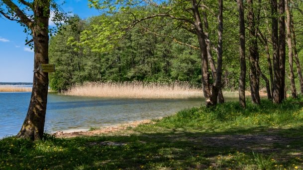 Nowy Harsz - zdjęcie 6