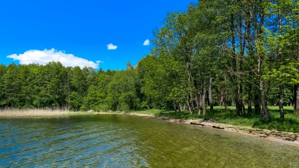 Nowy Harsz - zdjęcie 5