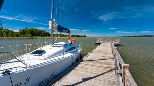 Ogonki - zdjęcie 47