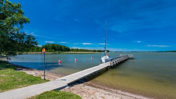 Ogonki - zdjęcie 46