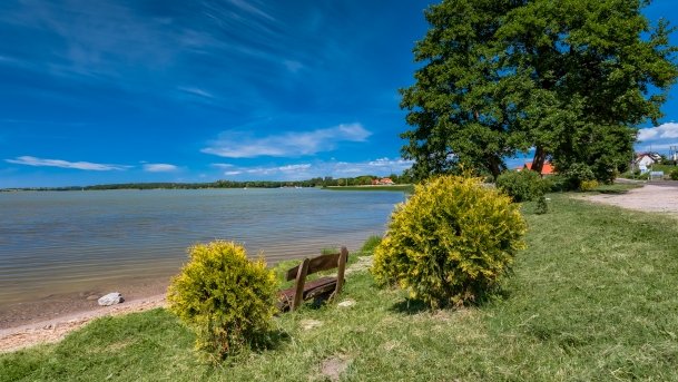 Ogonki - zdjęcie 45