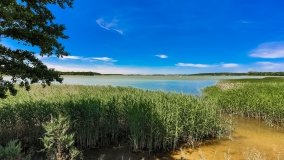 Pomost Ogonki - zdjęcie 2