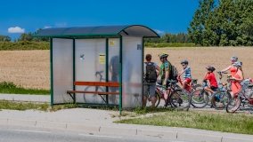 Trygort - zdjęcie 5