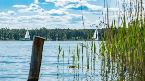 Bełdany Tarpan II - zdjęcie 23