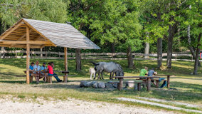 Bełdany Tarpan II - zdjęcie 12