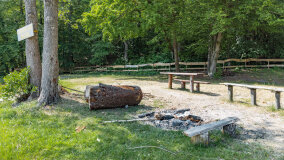 Bełdany Tarpan II - zdjęcie 10