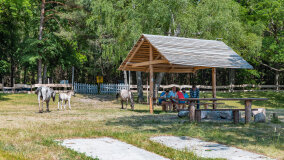 Bełdany Tarpan II - zdjęcie 8