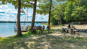 Bełdany Tarpan II - zdjęcie 3