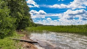 jezioro Bełdany - zdjęcie 242