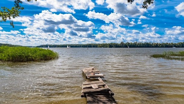 Binduga niedaleko Tarpan - zdjęcie 11