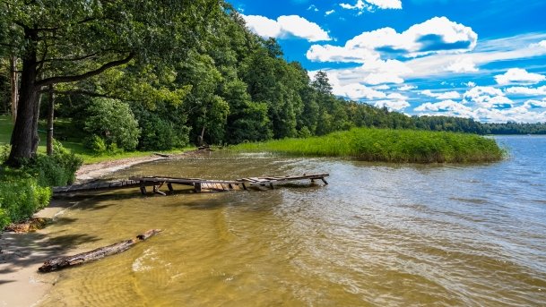 Binduga niedaleko Tarpan - zdjęcie 7