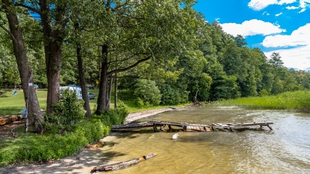 Binduga niedaleko Tarpan - zdjęcie 6