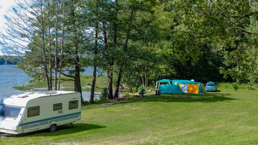 Bełdany Tarpan I - zdjęcie 1