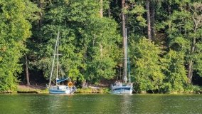 Miejscówki na j. Bełdany - wschodni brzeg - zdjęcie 67