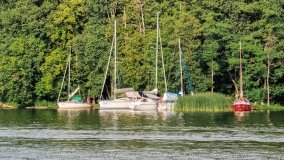 Miejscówki na j. Bełdany - wschodni brzeg - zdjęcie 64