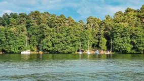 Miejscówki na j. Bełdany - wschodni brzeg - zdjęcie 63