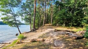 Miejscówki na j. Bełdany - wschodni brzeg - zdjęcie 56