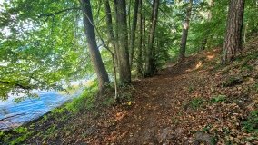 Miejscówki na j. Bełdany - wschodni brzeg - zdjęcie 52