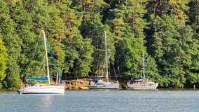 Miejscówki na j. Bełdany - wschodni brzeg - zdjęcie 51