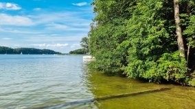 Miejscówki na j. Bełdany - wschodni brzeg - zdjęcie 49