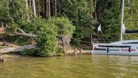 Miejscówki na j. Bełdany - wschodni brzeg - zdjęcie 47