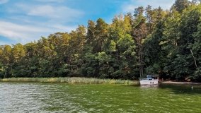 Miejscówki na j. Bełdany - wschodni brzeg - zdjęcie 46