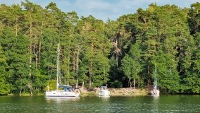 Miejscówki na j. Bełdany - wschodni brzeg - zdjęcie 43