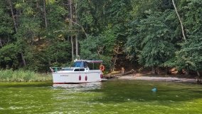 Miejscówki na j. Bełdany - wschodni brzeg - zdjęcie 41